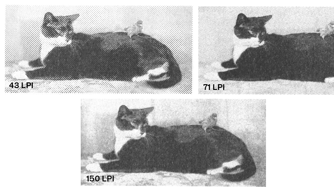 Image of cat printed with different dot screens