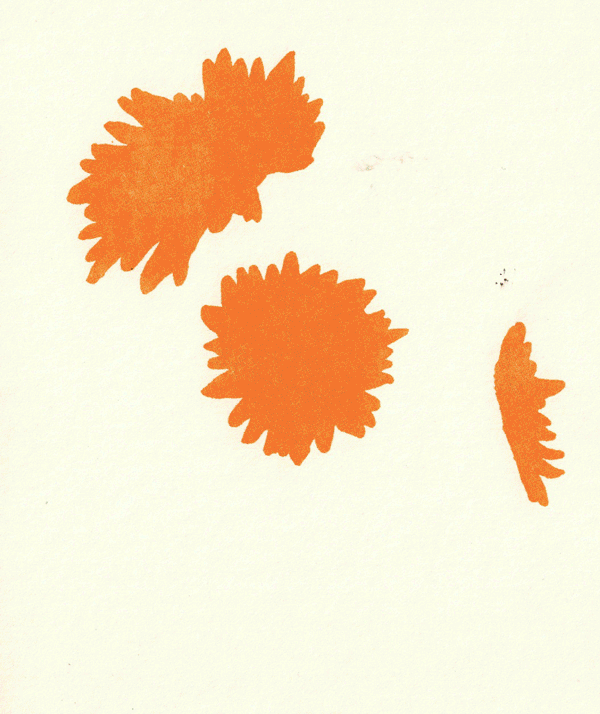 Animation of 3-color drawing of sunflowers